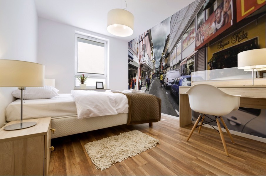 IMG_4610 Mural print