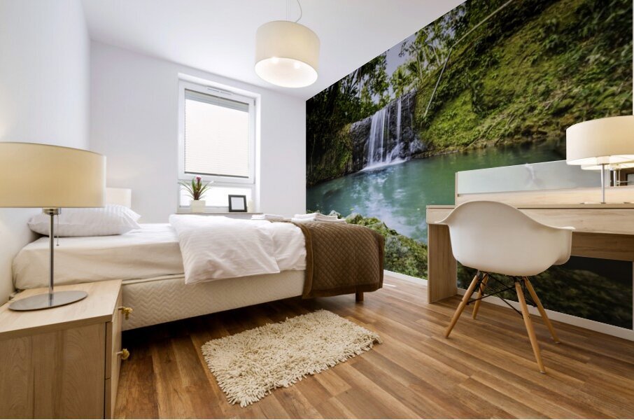 _MG_6823 Mural print