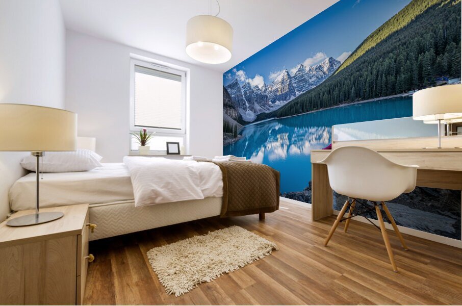 Contemplating Blue Mural print