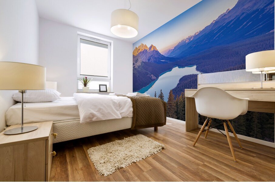 Payto Lake View North Mural print