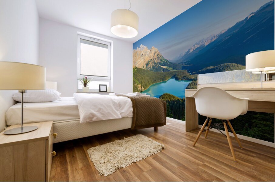 Peyto Lake View Mural print