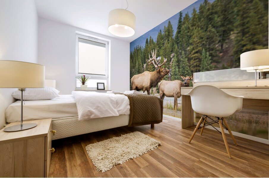 Elk Couple Mural print