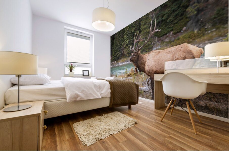 Bugaling Elk Mural print