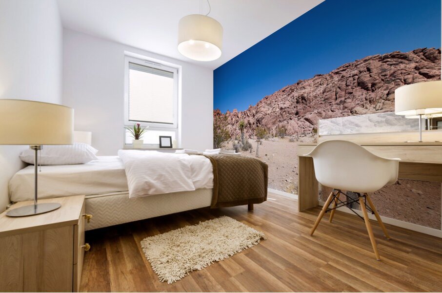 Red Rock Canyon   Nevada Canon 8728 Mural print