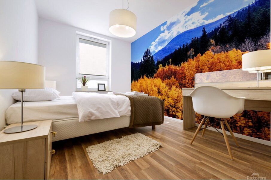 Orange October Mural print