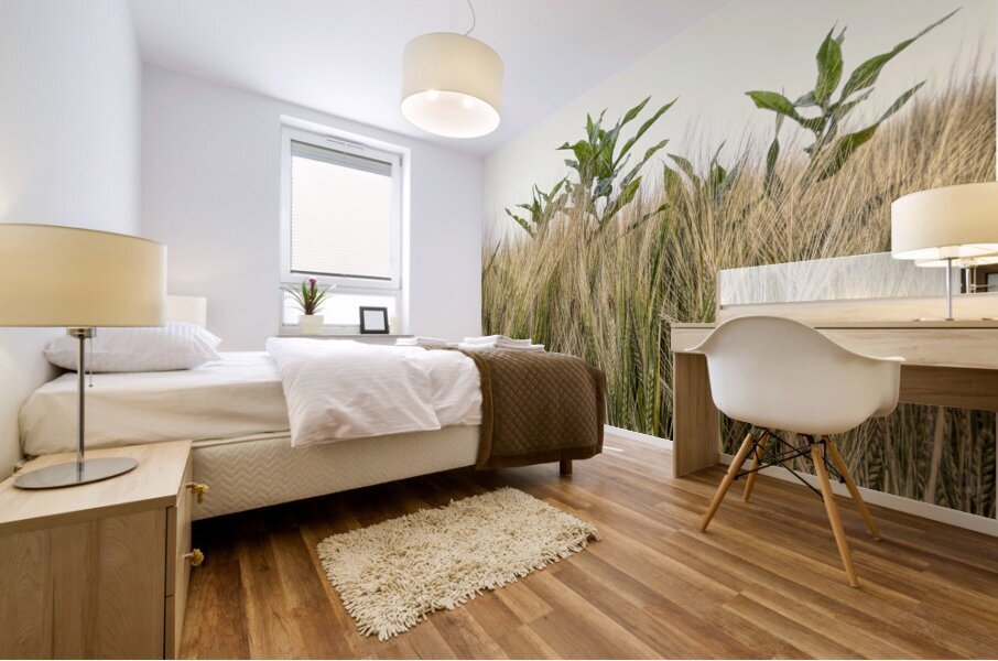 Wheat Shooting Upward Mural print