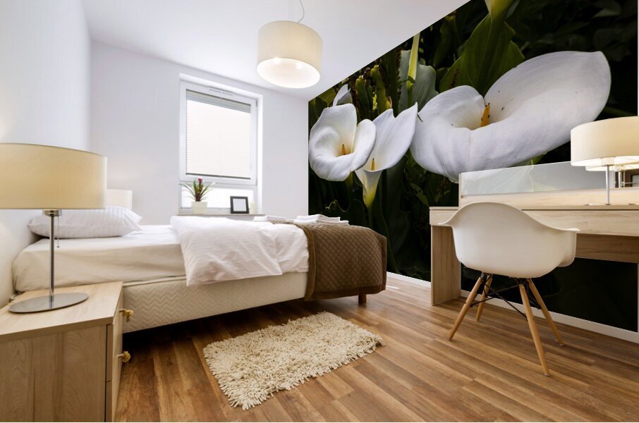 Calla Lily Purity Mural print