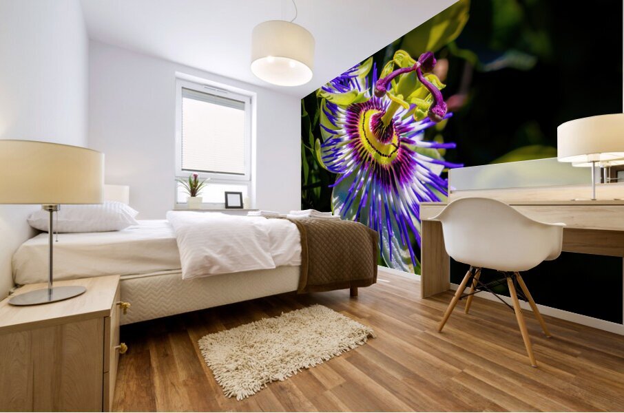 Passion Flower Passiflora  Mural print