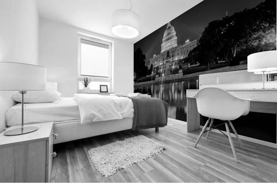 us capitol building at night  square 392 Capitol Mural print