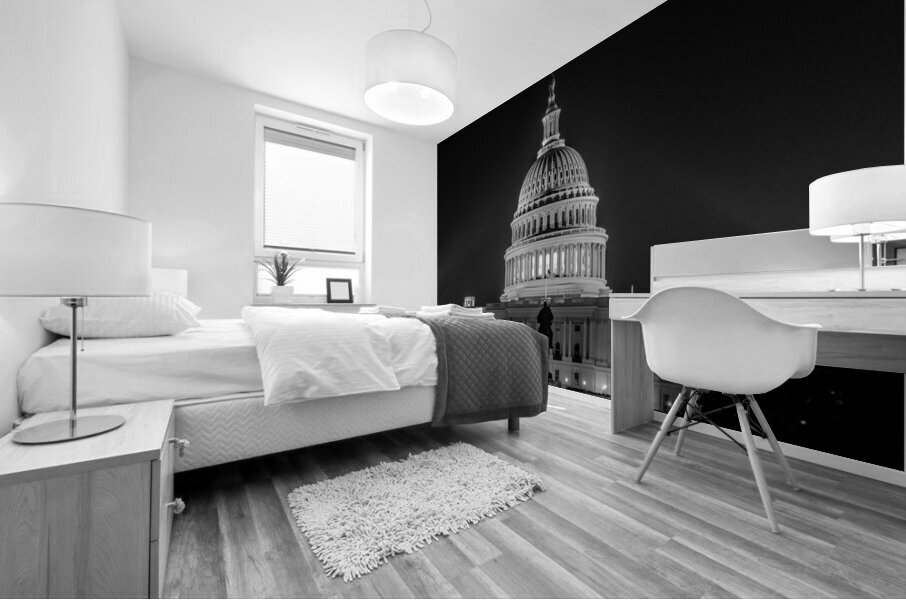 us capitol building at night  panoramic 409 Symbo Mural print
