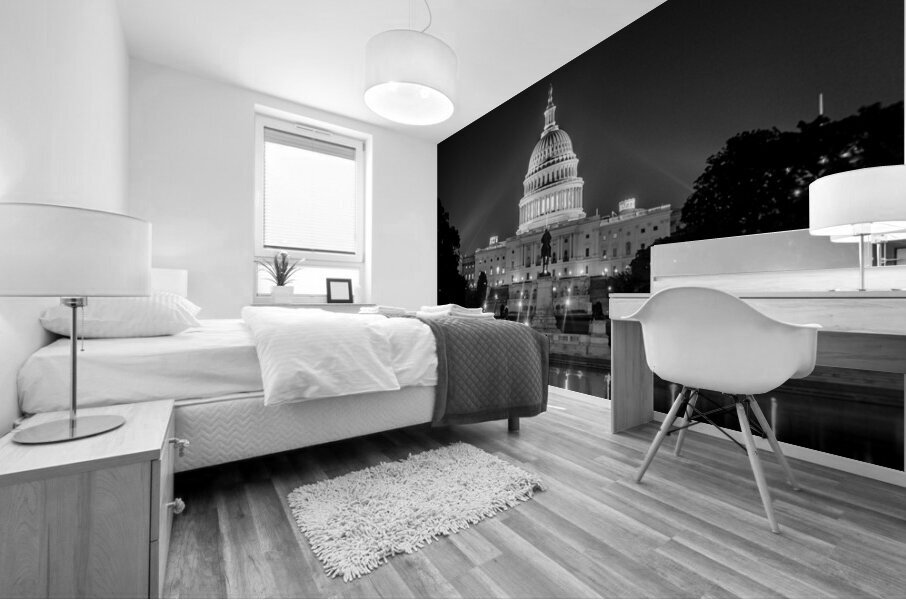us capitol building at night  panoramic 392 Capit Mural print
