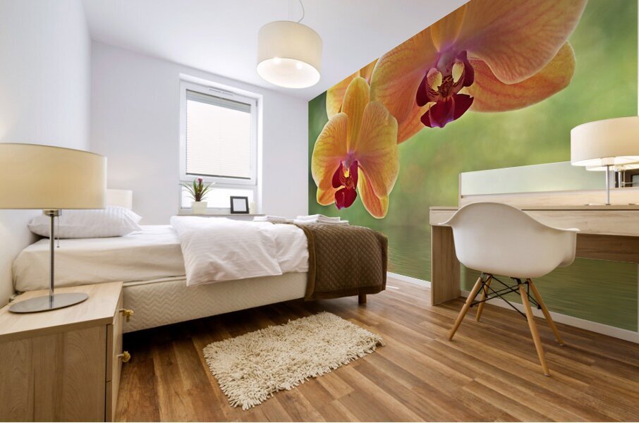 Oriental Spa Mural print