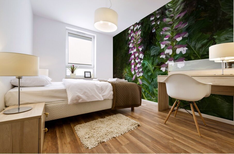 Bear Breeches Acanthus Spinosus Mural print