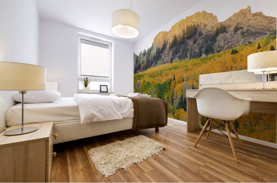 Last Rays Over Kebler Pass Dyke Mural print