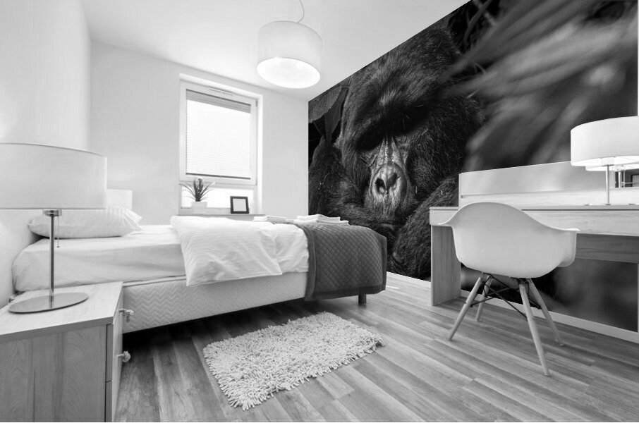 Ragnar of Bwindi Mural print