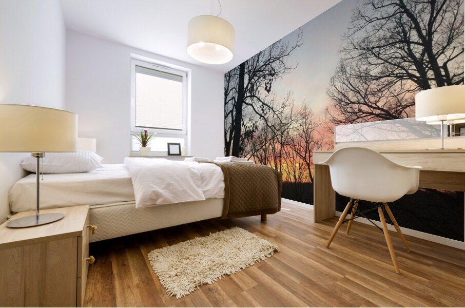 4E24C4DC AAF7 4A85 B0EF D5637A62E7EC Mural print
