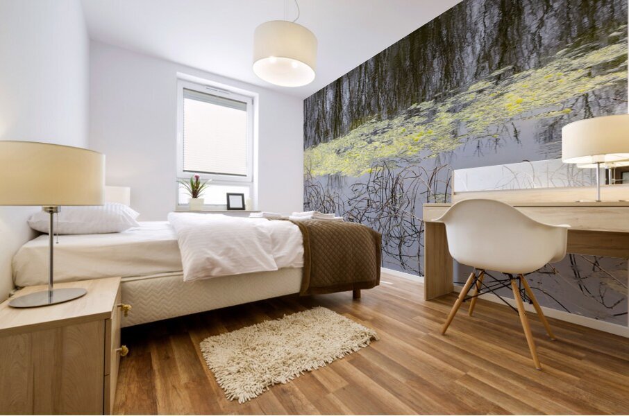 Winter Pond Textures Mural print