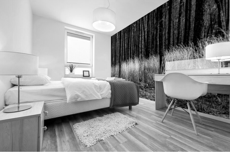 Infrared Forest Mural print