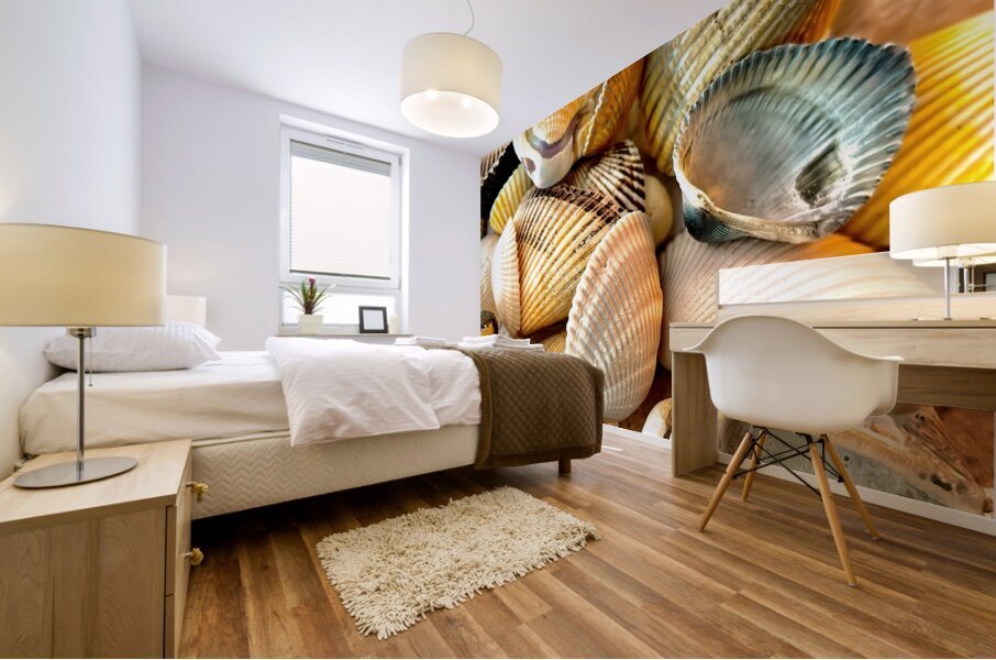 Beachcombing Shells Mural print