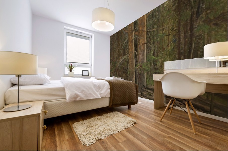 Trees in a forest Mural print