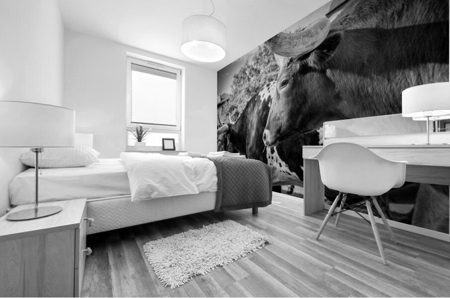 texas longhorn  horizontal 817 Steer 13k Mural print