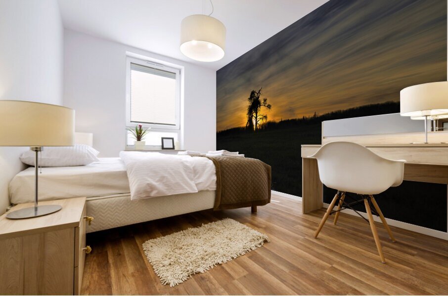 BackLit Mural print