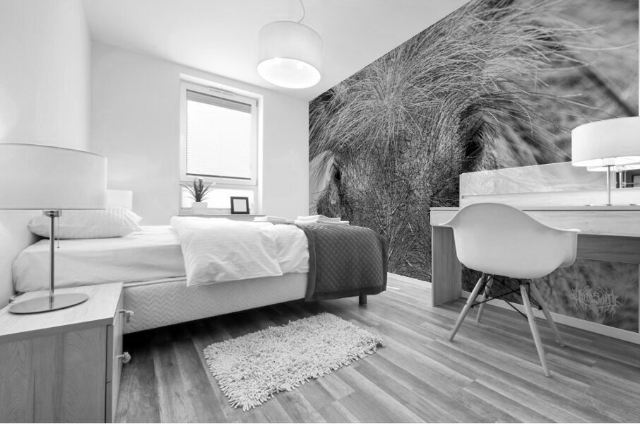 Im Sexy and I Know It Mural print