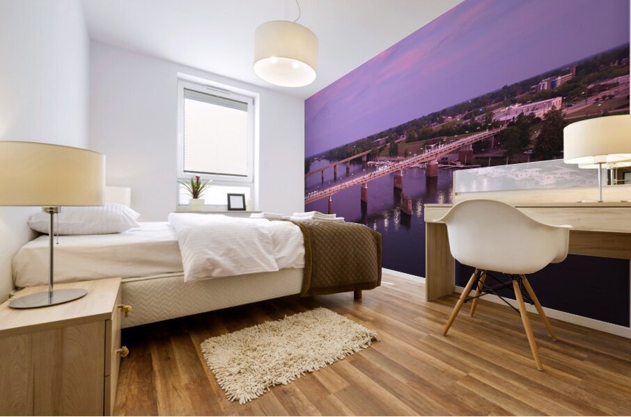 Fifth Street Pedestrian Bridge Aerial View   Augu 1708699351.2351 Mural print