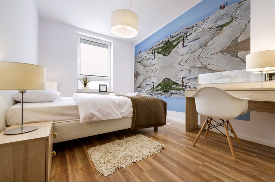 LA TERRE N EST PAS PLATE 2 Mural print