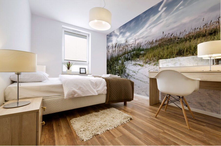 Hilton Head Sand Dunes Mural print