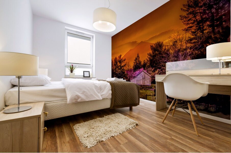 Blue Ridge Mountain Farm 1 Mural print