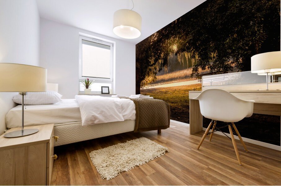 Sunrise Through the Trees 1 Mural print