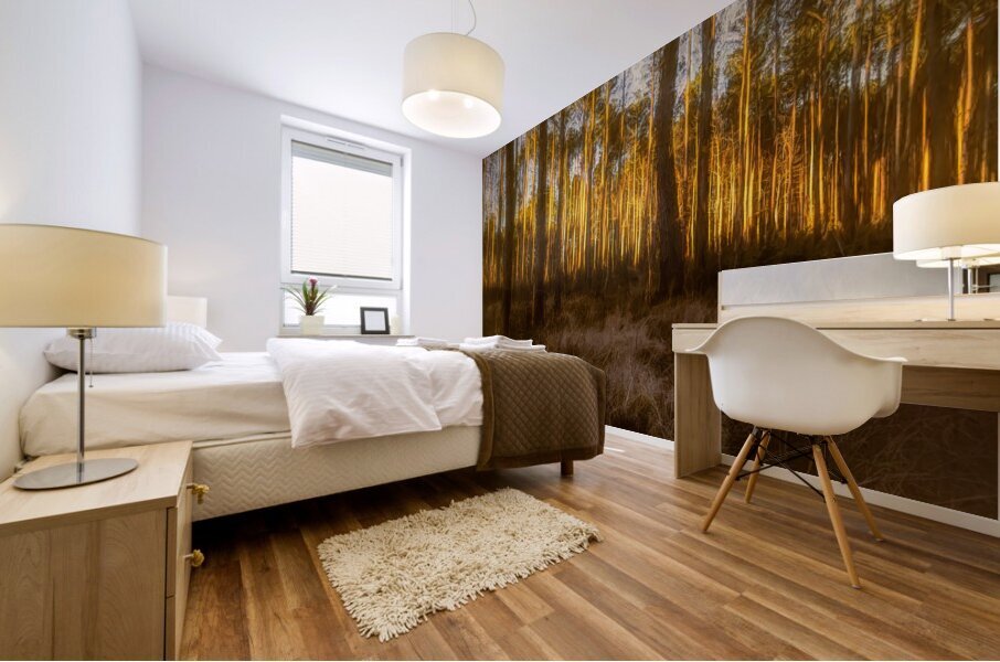 The Forest Glow at Sunset Mural print