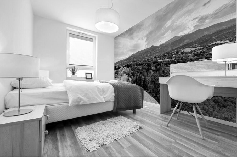 Evening Colorado Mountain View Grayscale Mural print