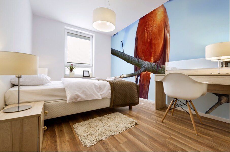 Cardinal Mural print