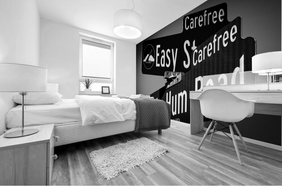 easy street and ho hum road in carefree arizona   1708956673.5142 Mural print