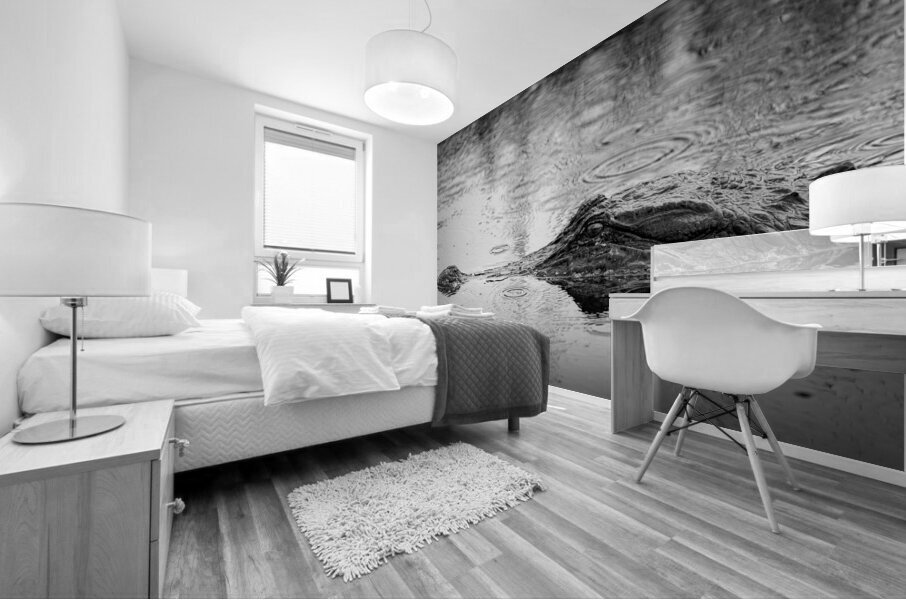 Whos the Real Villian Mural print