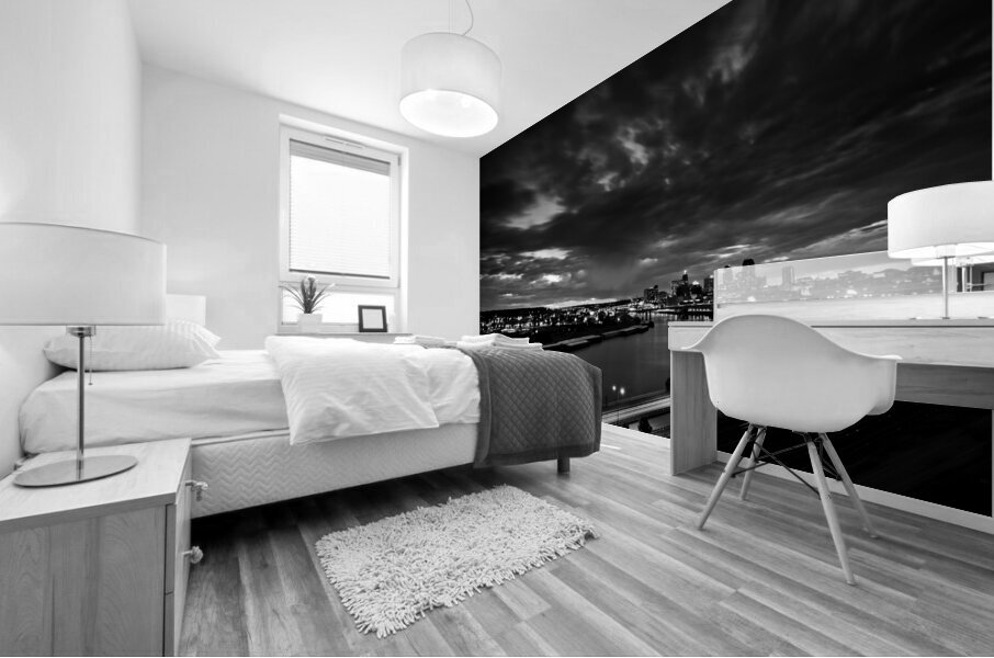st paul minnestota city skyline at night  horizon Mural print
