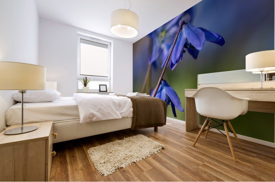 Sapphire Star Mural print