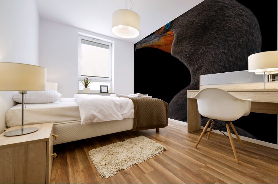 It s Called Balance Mural print