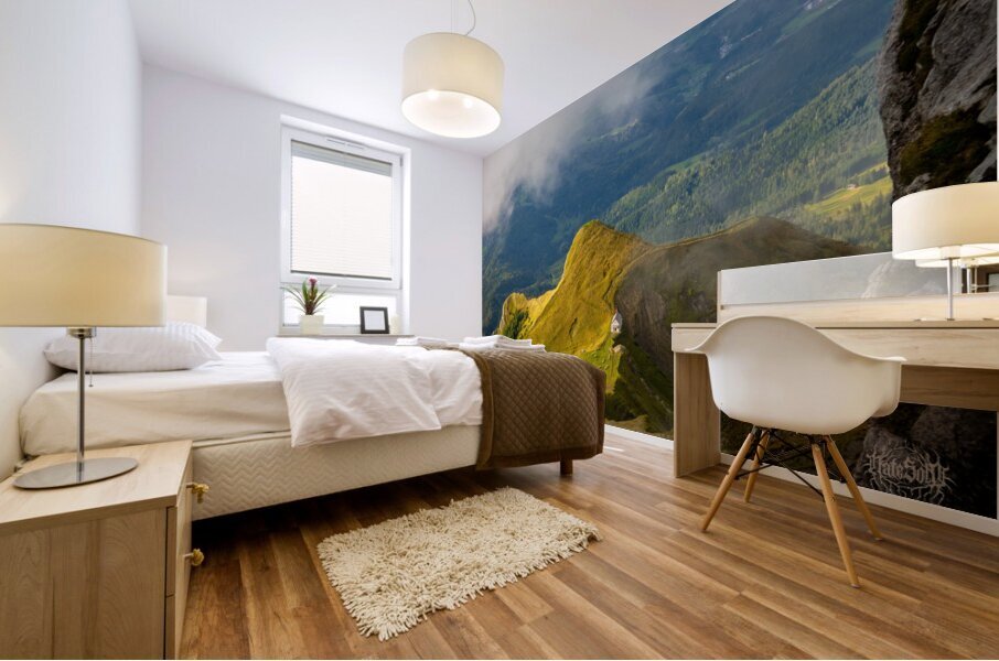 Dragons Eye View Mural print