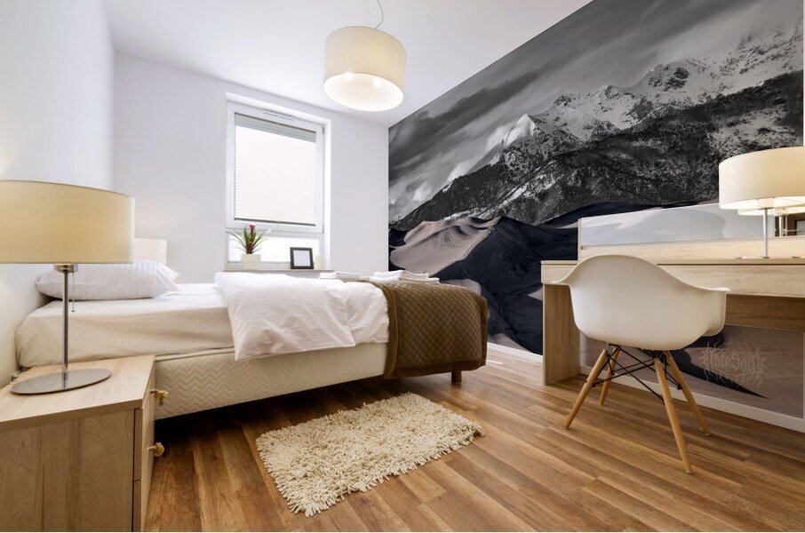 We are so Alike Mural print