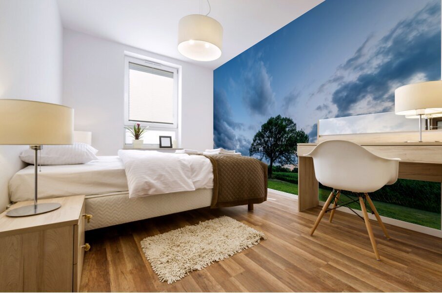 Oak Tree Sunset Skyscape Mural print