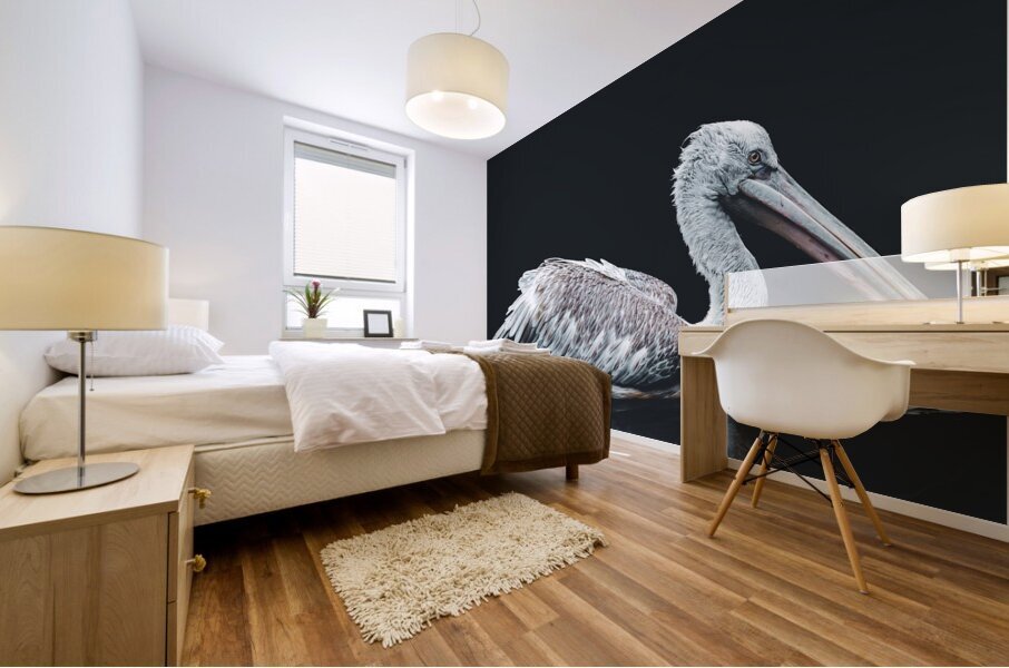 Dalmation Pelican Mural print