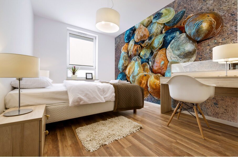 Jingles Seashells Mural print