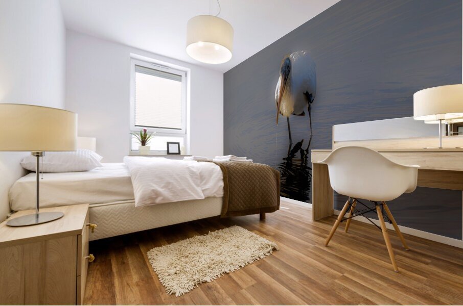 Reflecting feathers Mural print