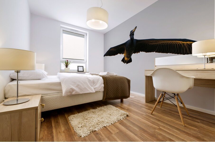 White Pelican flyby Mural print