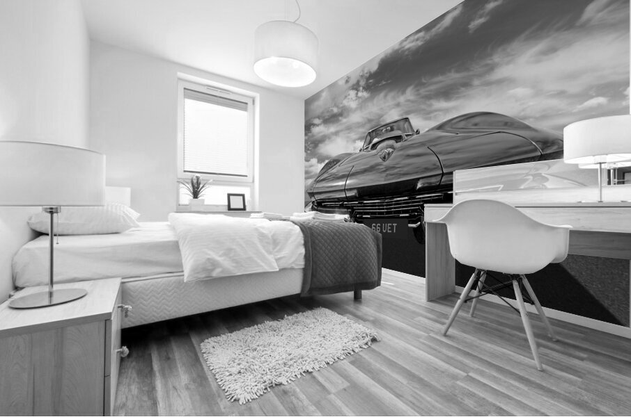 66 Vette Stingray in Black and White Mural print