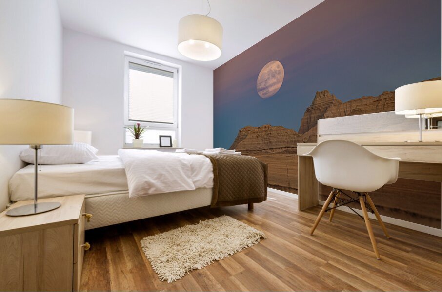 Badlands Moonrise Mural print