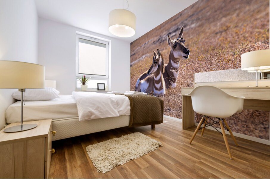 Pronghorn Couple Mural print